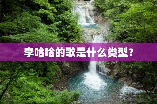 李哈哈的歌是什么类型？