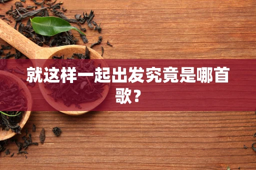 就这样一起出发究竟是哪首歌？