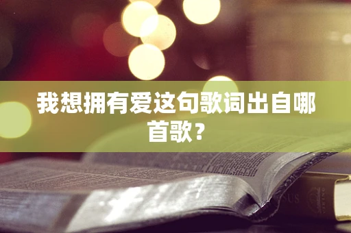 我想拥有爱这句歌词出自哪首歌？