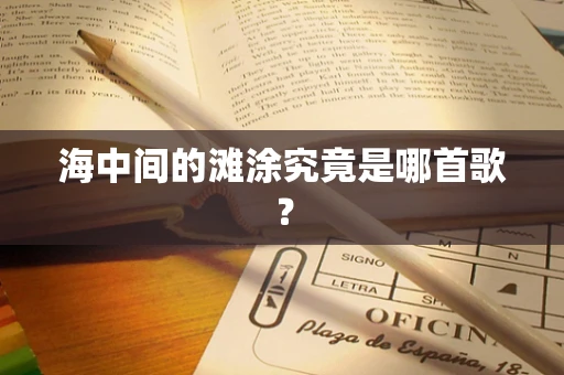 海中间的滩涂究竟是哪首歌？