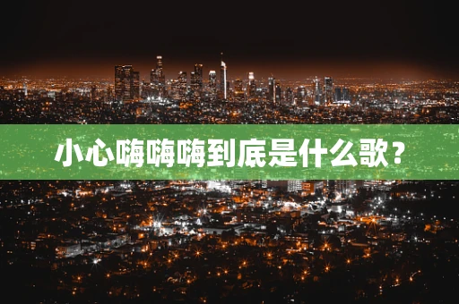 小心嗨嗨嗨到底是什么歌？