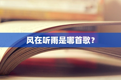 风在听雨是哪首歌？