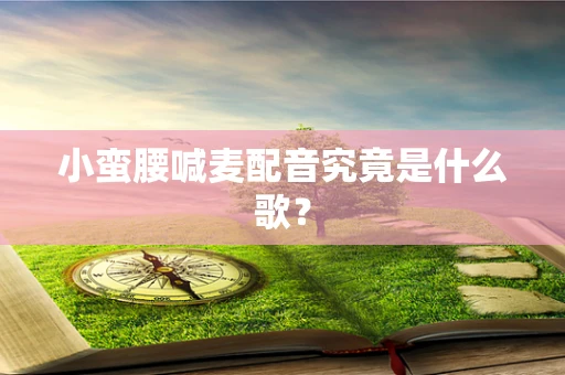 小蛮腰喊麦配音究竟是什么歌？