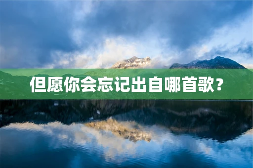 但愿你会忘记出自哪首歌？