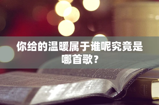 你给的温暖属于谁呢究竟是哪首歌？