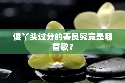 傻丫头过分的善良究竟是哪首歌？