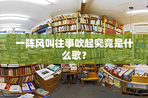 一阵风叫往事吹起究竟是什么歌？