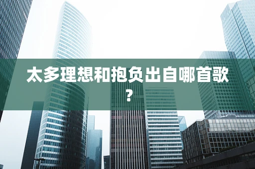 太多理想和抱负出自哪首歌？