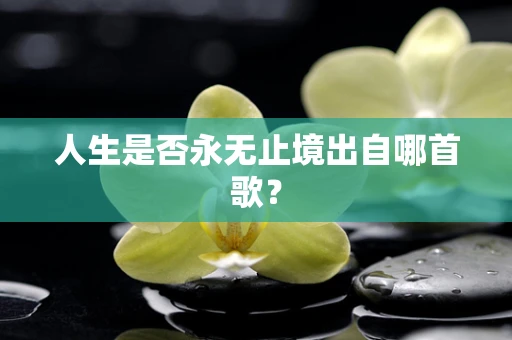 人生是否永无止境出自哪首歌？