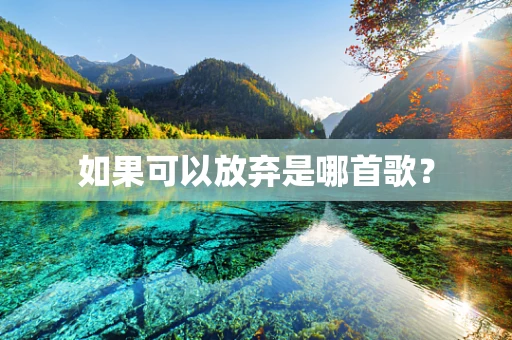 如果可以放弃是哪首歌？