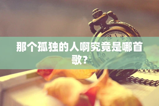 那个孤独的人啊究竟是哪首歌？