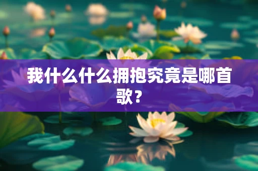 我什么什么拥抱究竟是哪首歌？