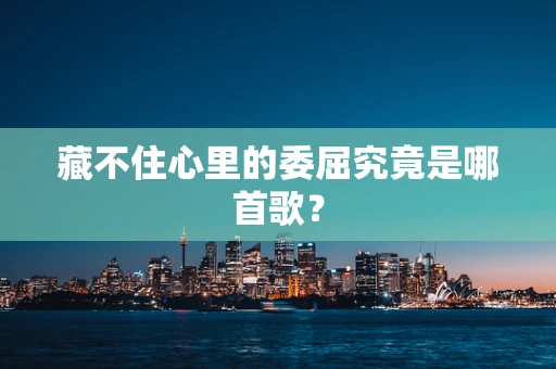 藏不住心里的委屈究竟是哪首歌？