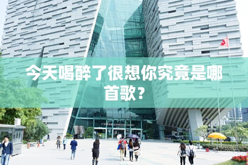 今天喝醉了很想你究竟是哪首歌？