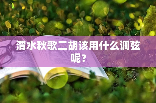 渭水秋歌二胡该用什么调弦呢？