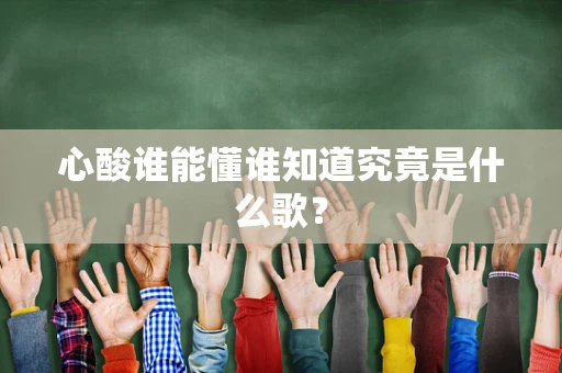 心酸谁能懂谁知道究竟是什么歌？
