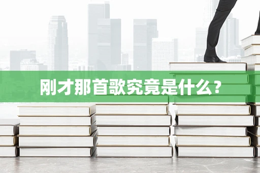 刚才那首歌究竟是什么？
