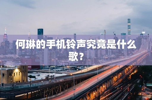 何琳的手机铃声究竟是什么歌？