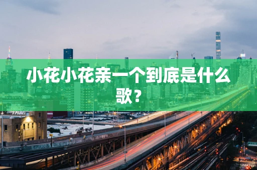 小花小花亲一个到底是什么歌？