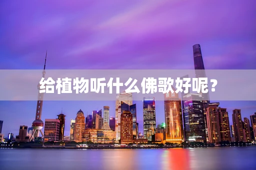 给植物听什么佛歌好呢？