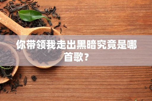 你带领我走出黑暗究竟是哪首歌？