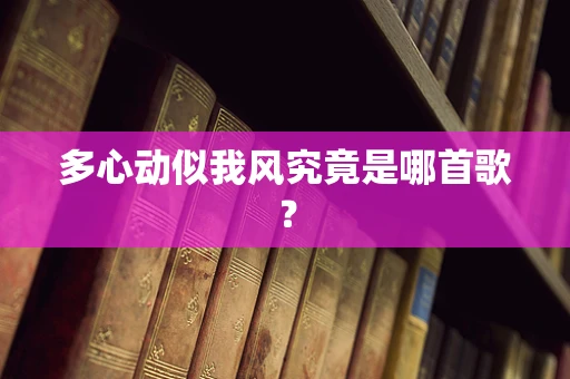 多心动似我风究竟是哪首歌？