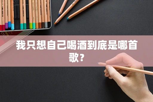 我只想自己喝酒到底是哪首歌？