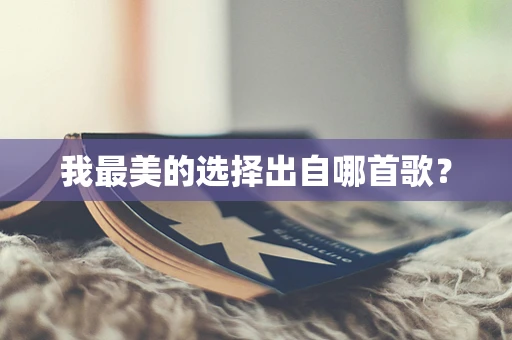 我最美的选择出自哪首歌？