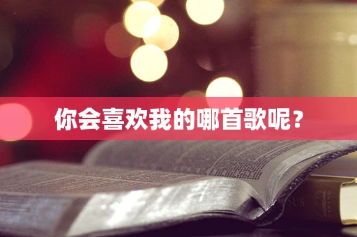 你会喜欢我的哪首歌呢？