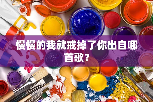 慢慢的我就戒掉了你出自哪首歌？