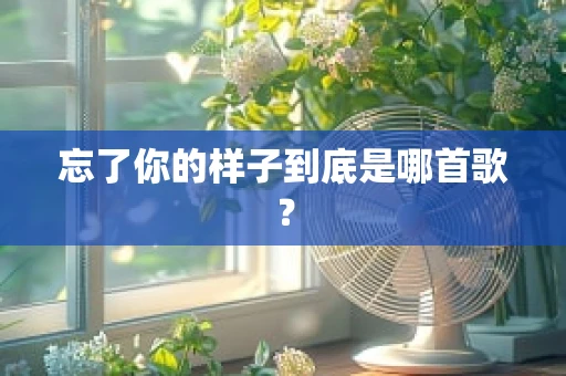 忘了你的样子到底是哪首歌？