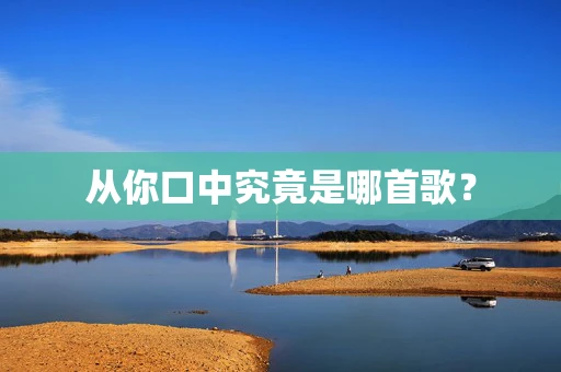 从你口中究竟是哪首歌？