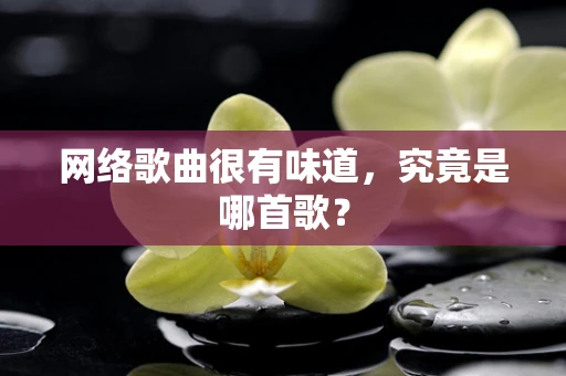 网络歌曲很有味道，究竟是哪首歌？