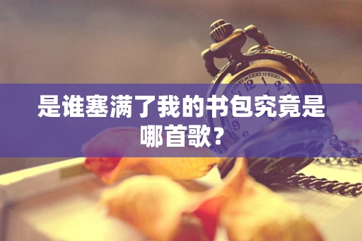 是谁塞满了我的书包究竟是哪首歌？