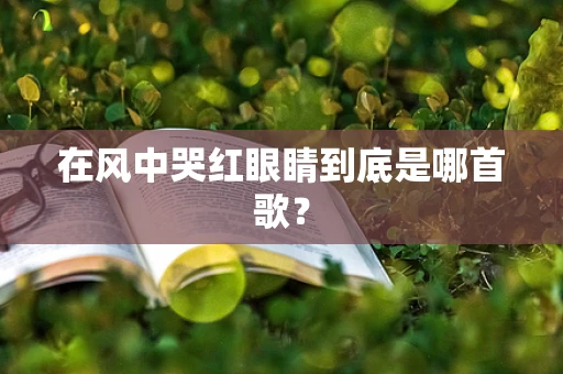 在风中哭红眼睛到底是哪首歌？