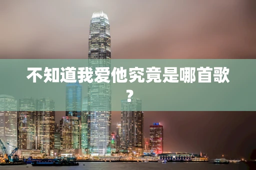 不知道我爱他究竟是哪首歌？