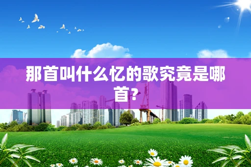 那首叫什么忆的歌究竟是哪首？