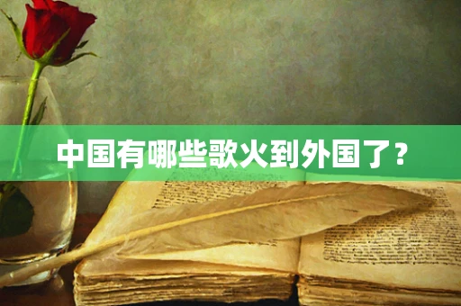 中国有哪些歌火到外国了？
