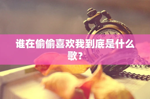 谁在偷偷喜欢我到底是什么歌？