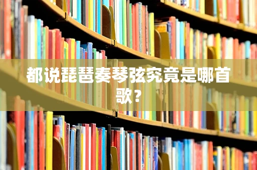 都说琵琶奏琴弦究竟是哪首歌？