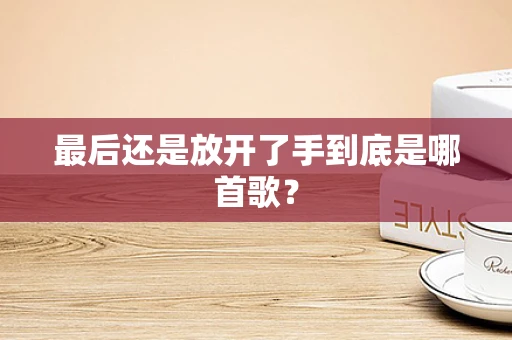 最后还是放开了手到底是哪首歌？