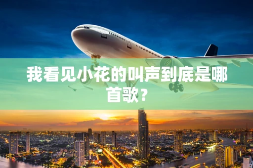 我看见小花的叫声到底是哪首歌？
