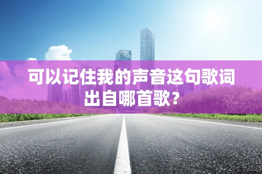 可以记住我的声音这句歌词出自哪首歌？