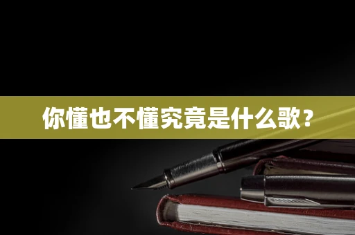 你懂也不懂究竟是什么歌？