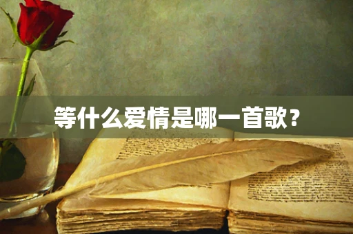 等什么爱情是哪一首歌？