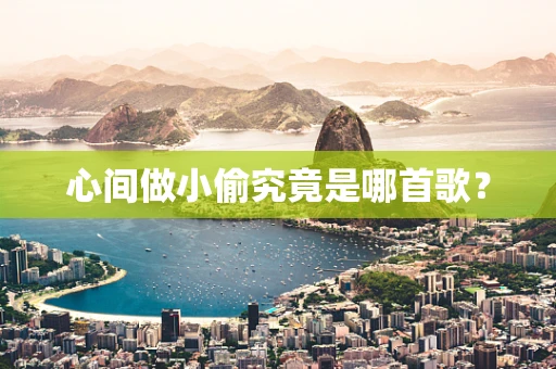 心间做小偷究竟是哪首歌？