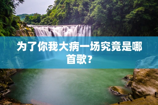 为了你我大病一场究竟是哪首歌？