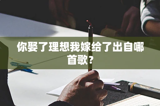 你娶了理想我嫁给了出自哪首歌？