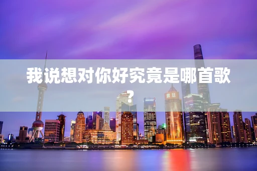 我说想对你好究竟是哪首歌？