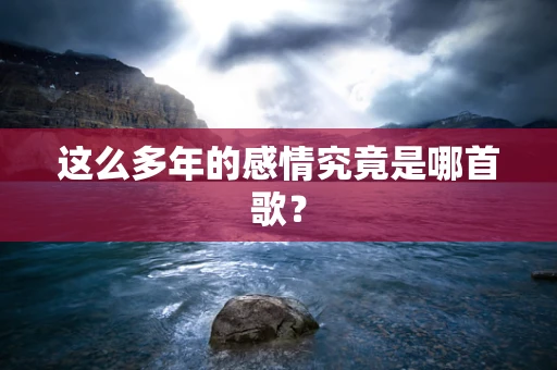 这么多年的感情究竟是哪首歌？